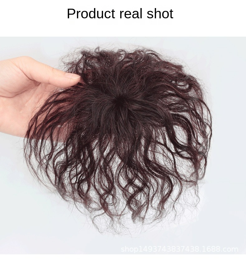 آلية الشعر البشري 6X6 سم قطعة  - مراجعة Hair Care Women وسعره